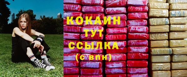 бошки Алзамай
