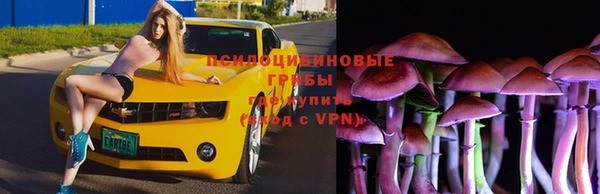 стаф Алексеевка