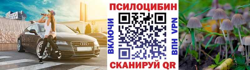 Псилоцибиновые грибы мицелий хочу Цоци-Юрт